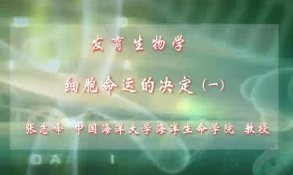 发育生物学视频教程 38讲 张志峰 中国海洋大学